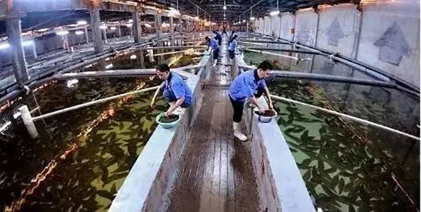 1656467283924736.jpg 01.jpg